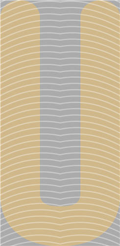 NBA and Team-QD 2201